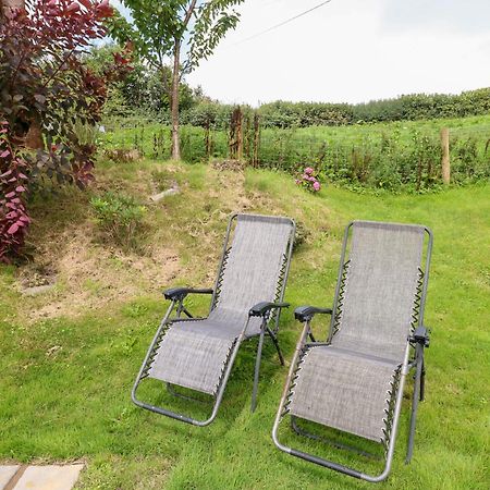 Ffynnonlwyd Cottage Llangynin المظهر الخارجي الصورة