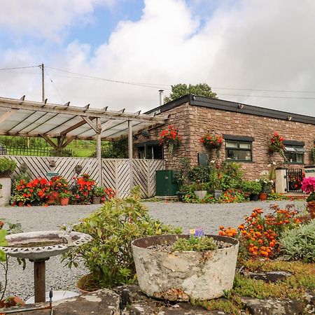 Ffynnonlwyd Cottage Llangynin المظهر الخارجي الصورة
