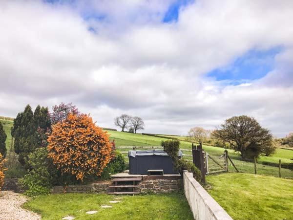Ffynnonlwyd Cottage Llangynin المظهر الخارجي الصورة