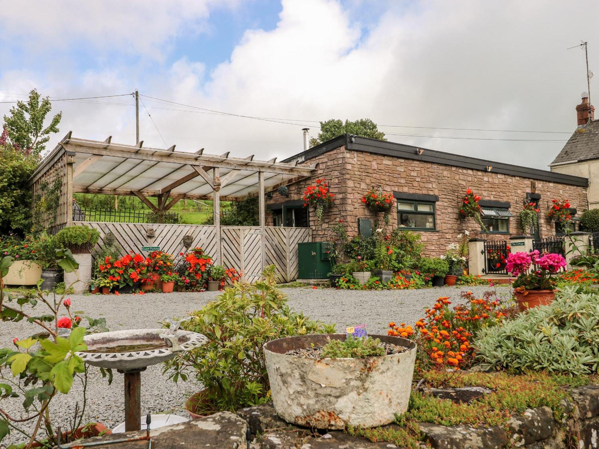 Ffynnonlwyd Cottage Llangynin المظهر الخارجي الصورة